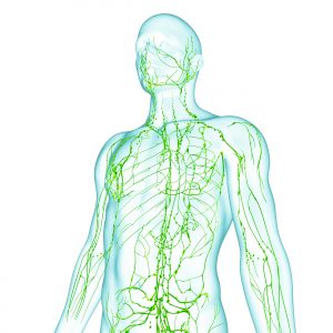 The Importance of Manual Lymphatic Massages (MLD) and Compression Garments  for Postoperative Recovery After Cosmetic Surgery - RECOVA®